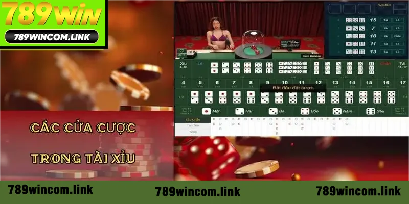 cac-cua-cuoc-trong-tai-xiu-online-789win