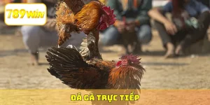 truc-tiep-da-ga-789win