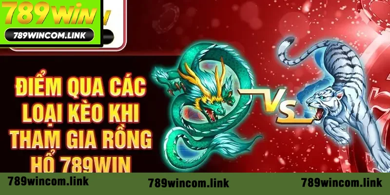 Điểm qua các loại kèo khi tham gia Rồng Hổ 789Win