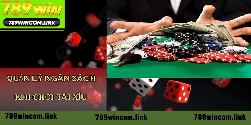 Quản lý ngân sách khi chơi Tài Xỉu Online 789Win