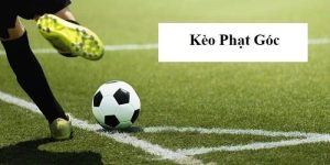 kinh-nghiem-xem-keo-phat-goc-789win