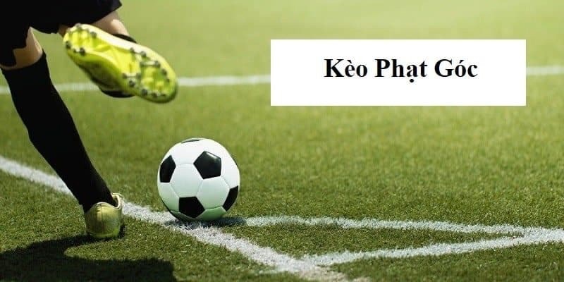 kinh-nghiem-xem-keo-phat-goc-789win